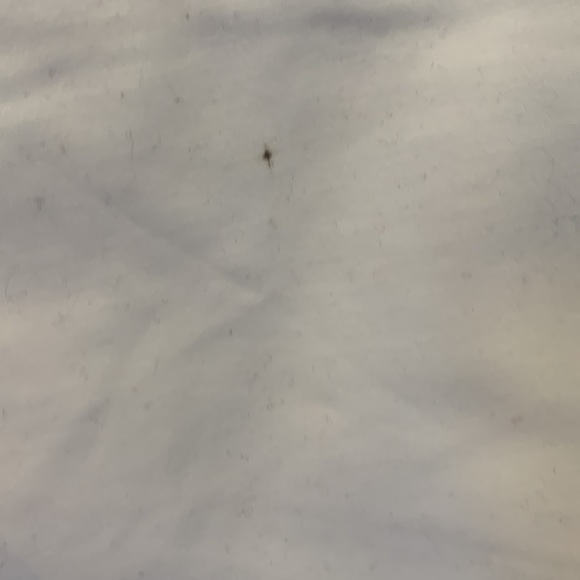 Vince Camuto While Shorts - Picture 6 of 7